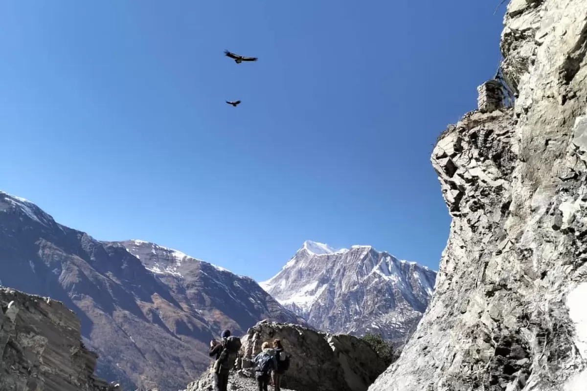 Langtang Gosainkundda Pass